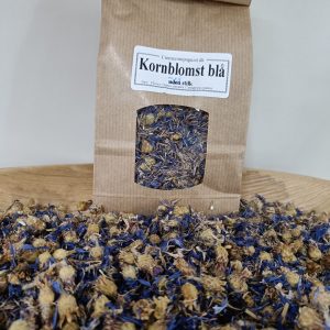 Kornblomst blå med stilk