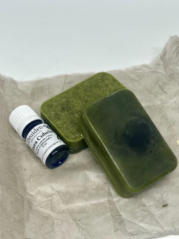 Conditionerbar Chlorella