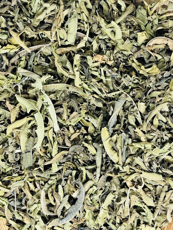 Lemon Verbena, snittet / ØKO - Image 2